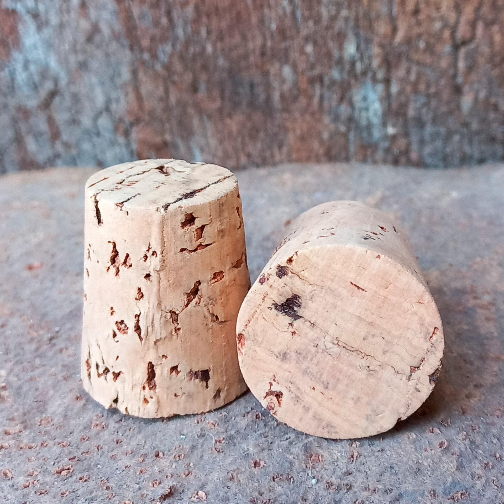 Cónico Natural Para Garrafão 100 UN