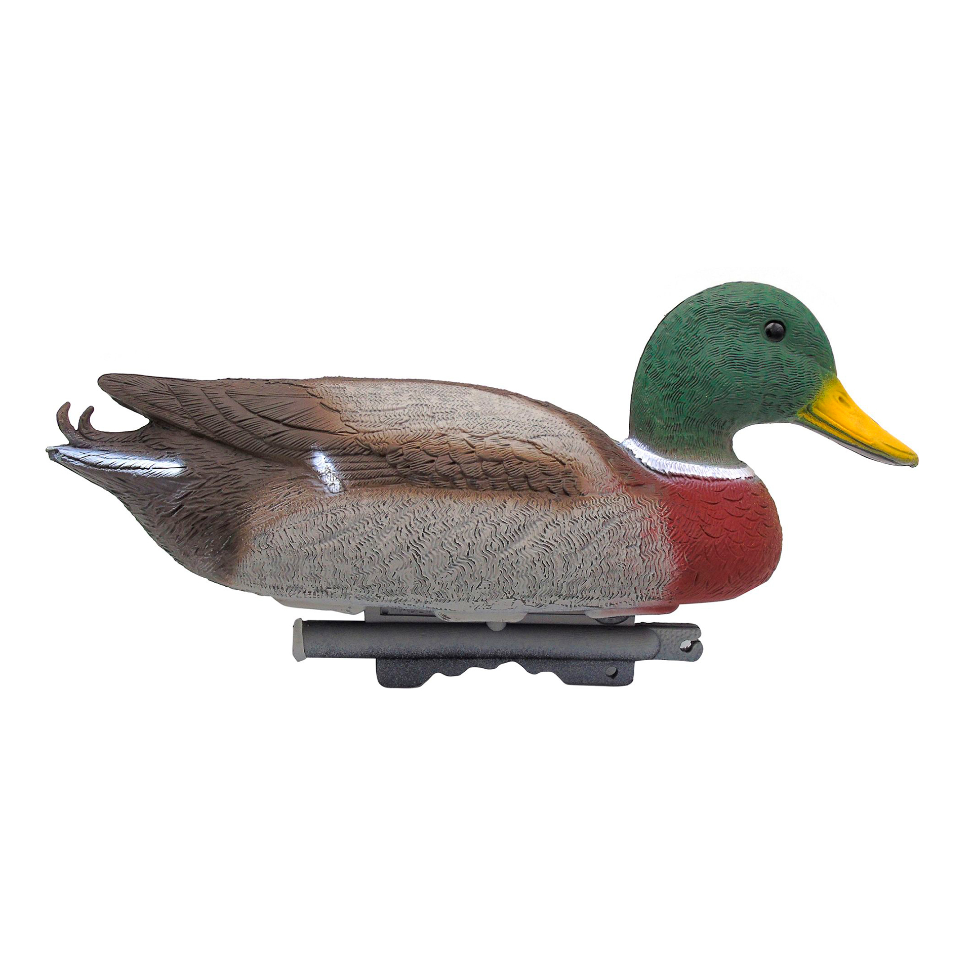 DECORAÇÃO LAGO PATO SELVAGEM