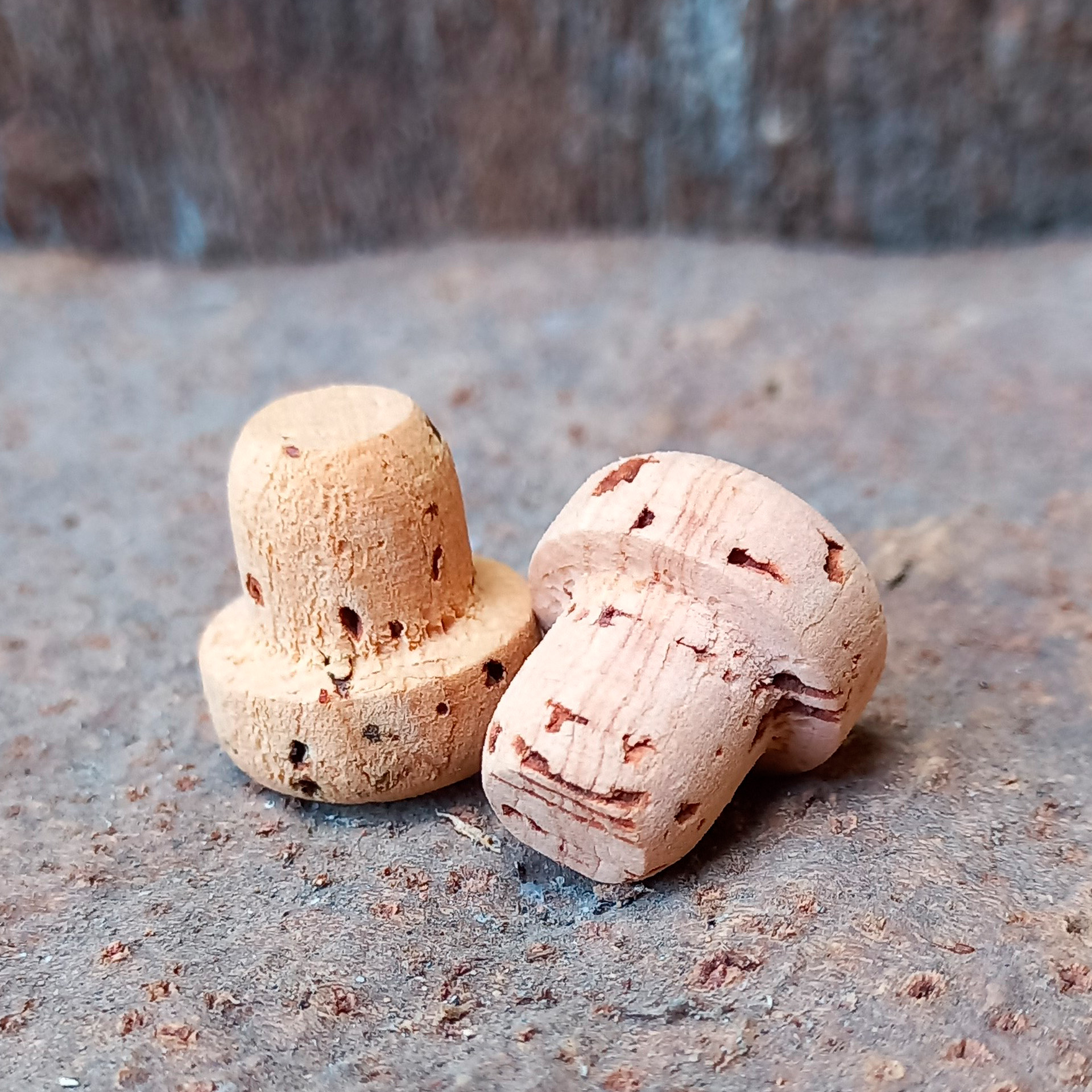 ROLHA FUTURA 5CL 25 UN