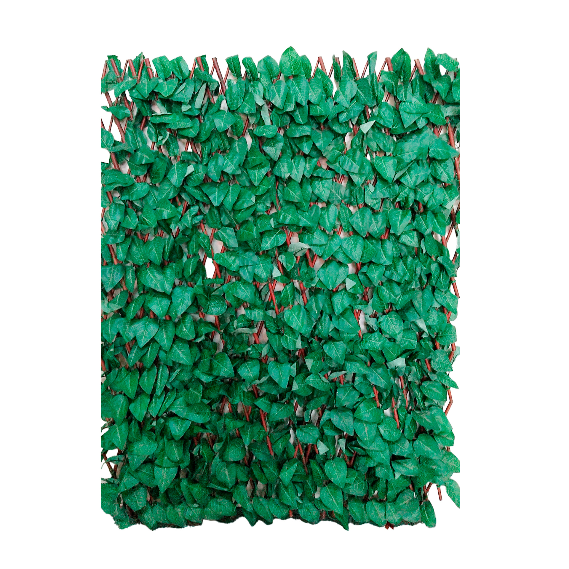 Gelosia Folhas Arce 1 X 2 M FAURA