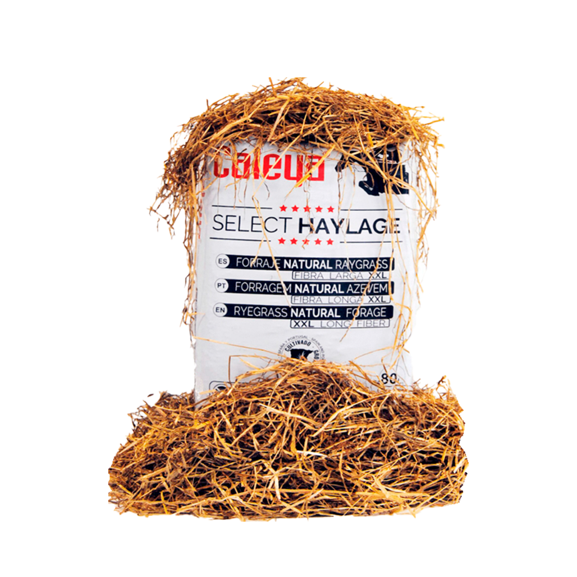 Feno Silagem Azevém RS10 80 L CALEYA