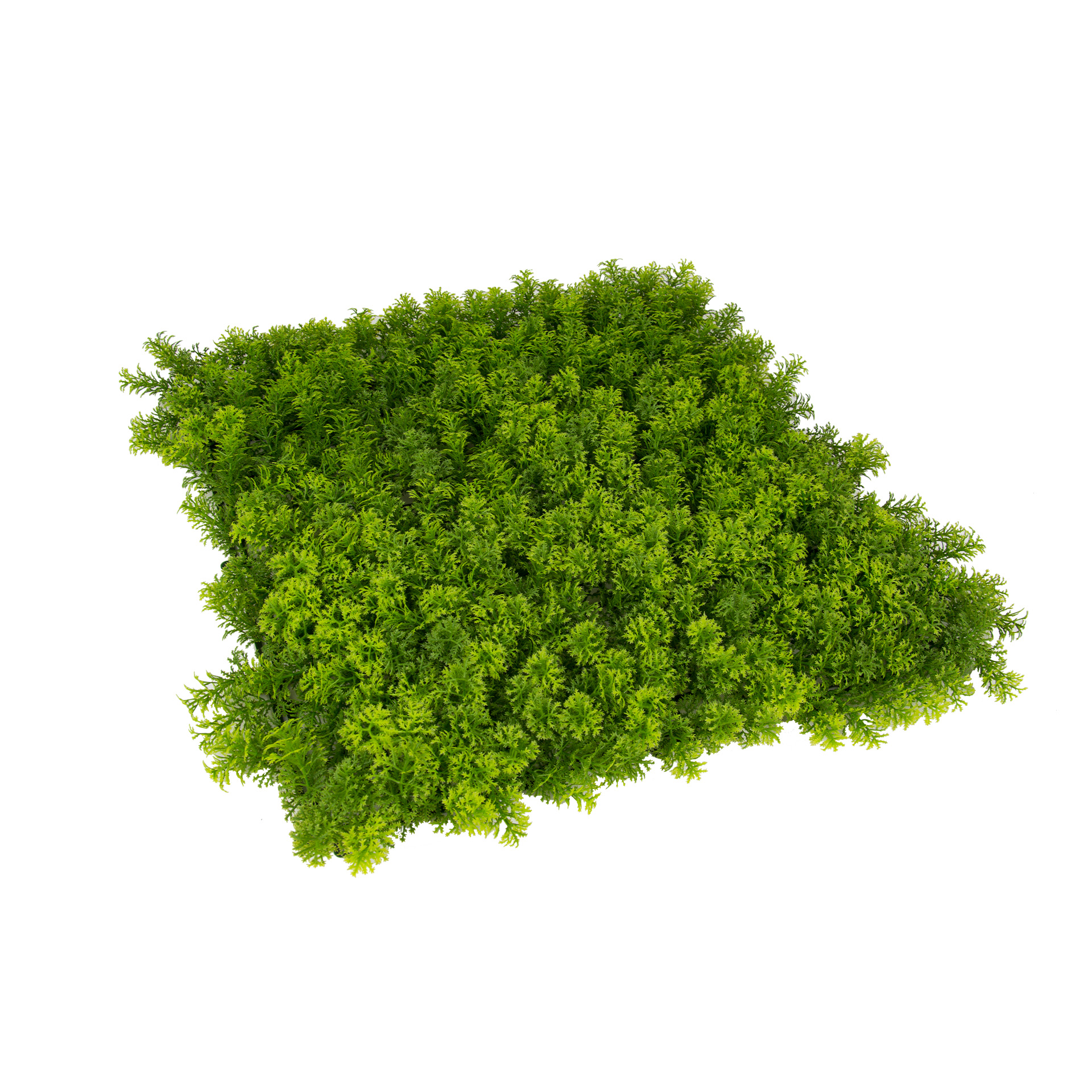 Jardim Vertical 50X50 CM Silvestre 4 UN FAURA