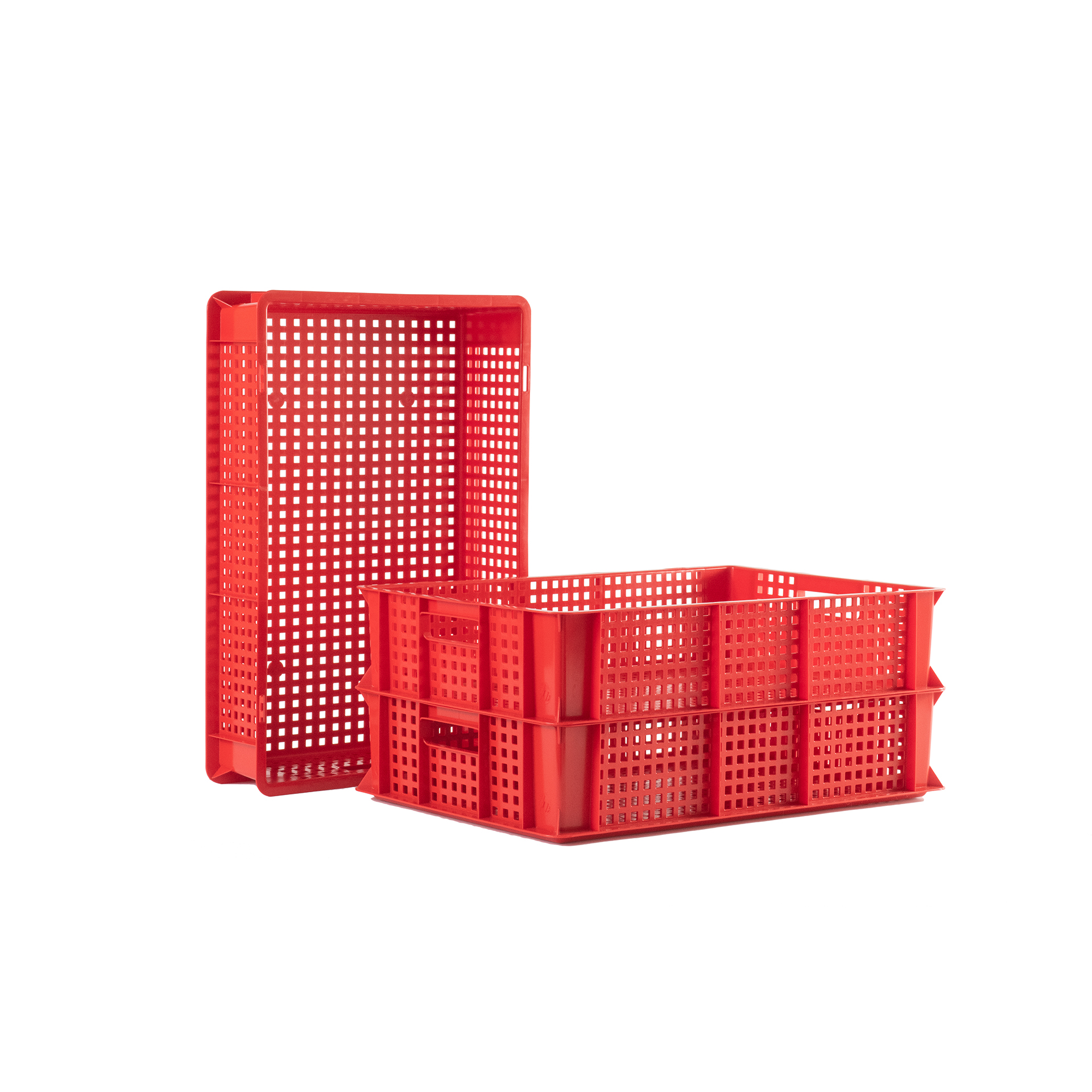 Caixa Euro Aberta 60 X 40 X 13 CM