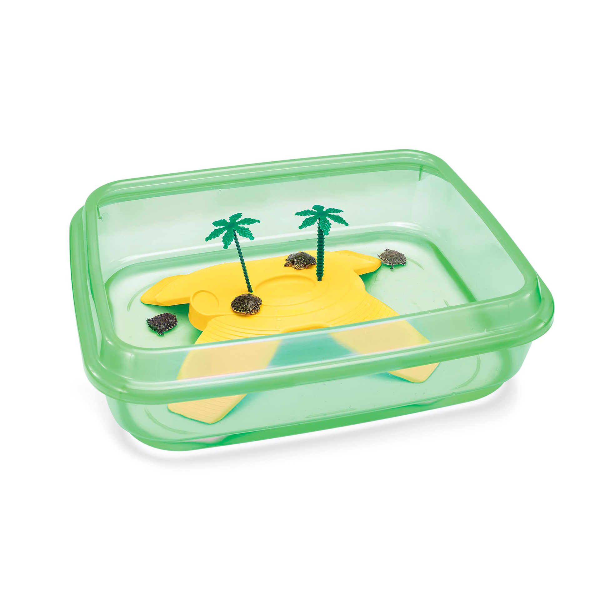 Tartarugueira Ninja 50X40X4,5 CM IMAC