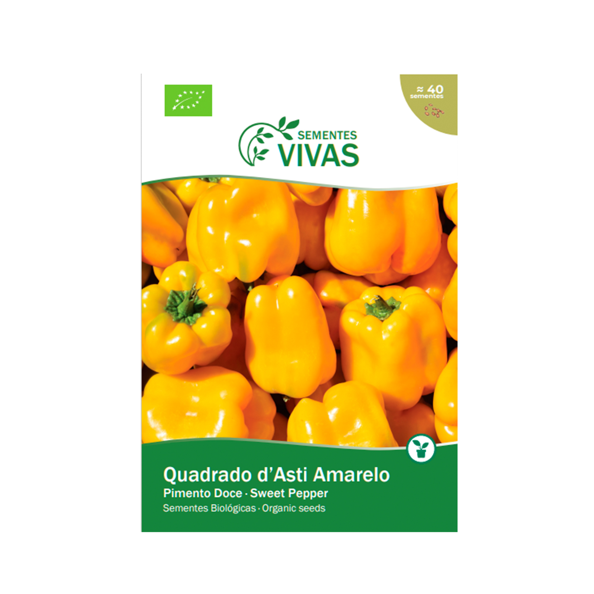 Pimento Quad Dasti Gi 25 Sementes SEMENTES VIVAS