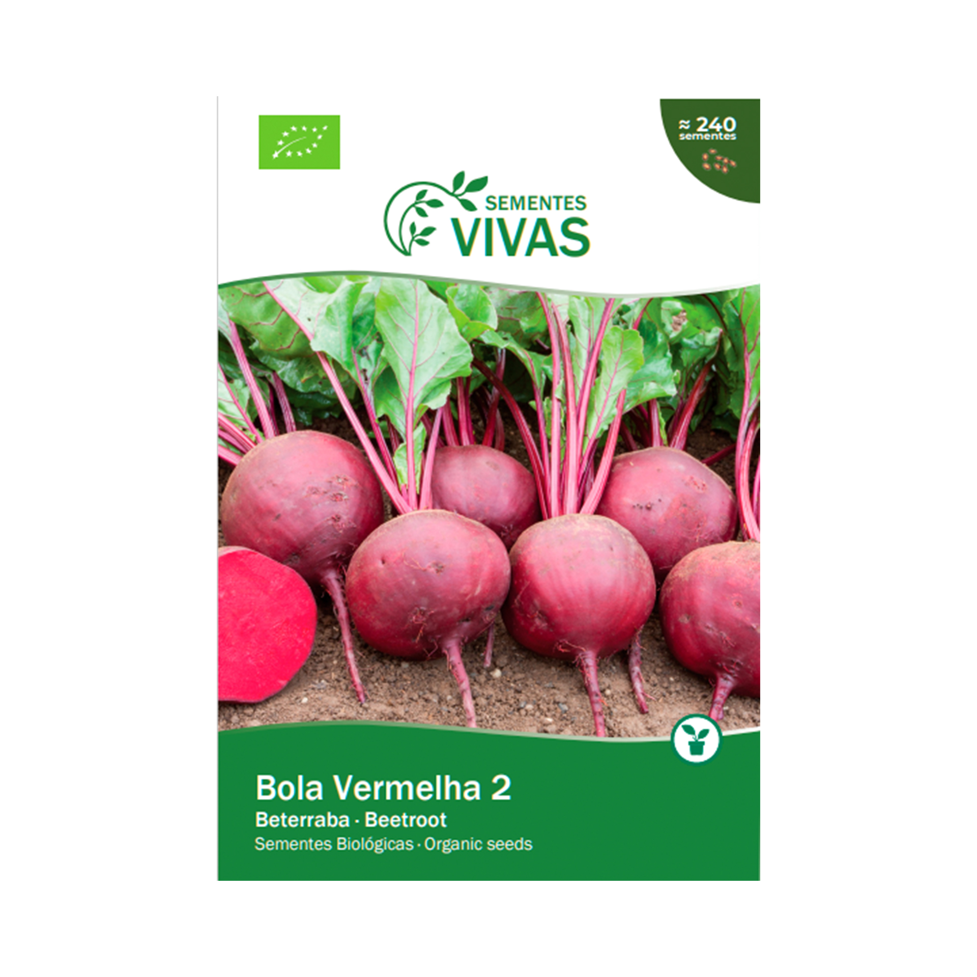 Beterraba Detroit Globe 3 G SEMENTES VIVAS