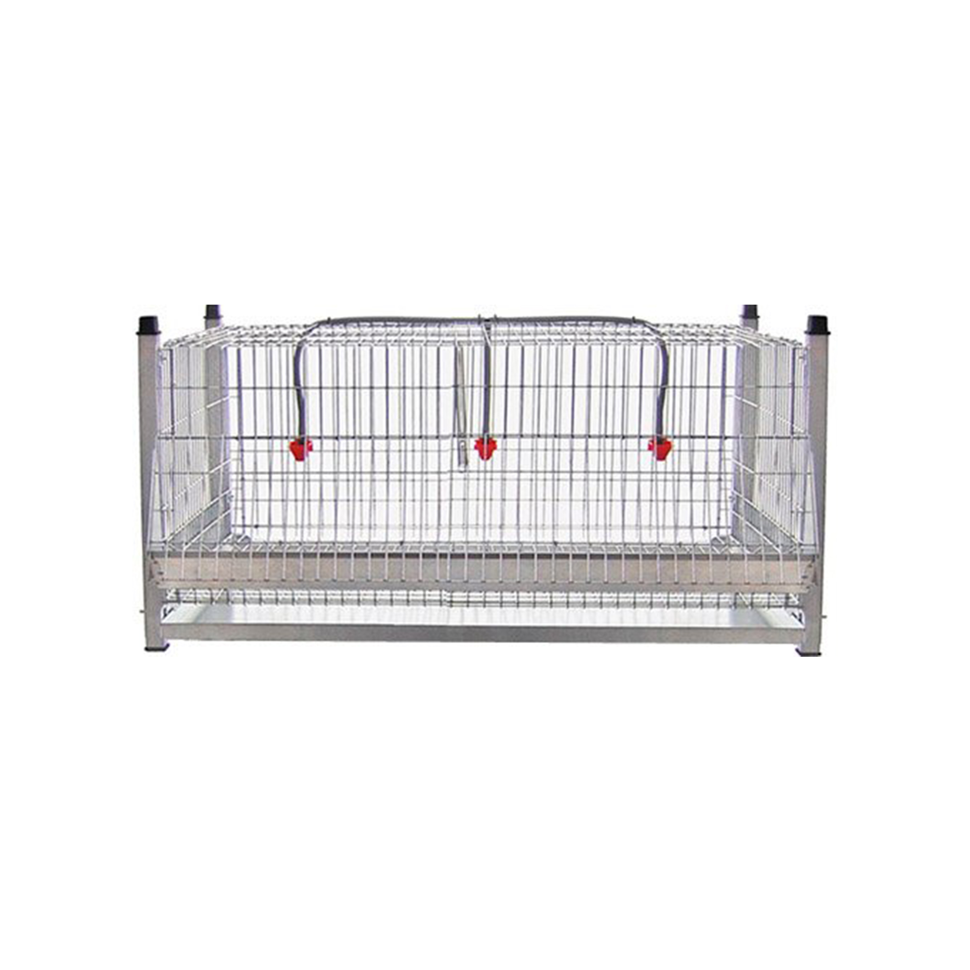 Jaula p/Exposição de Frangos 90CM GOMEZ Y CRESPO