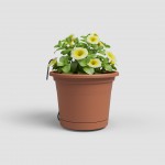 Kit Veneza Water Reserve Terracota 20 CM ARTEVASI