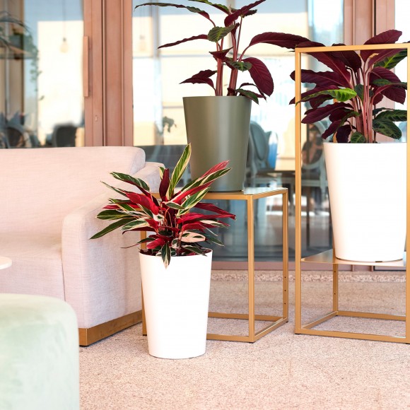 Vaso Porto Alto Antracite 80 CM ARTEVASI