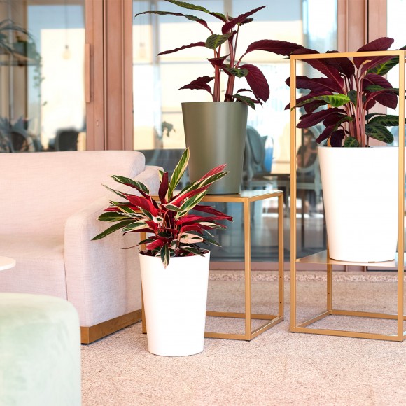 Vaso Porto Alto Cinza Claro 80 CM ARTEVASI