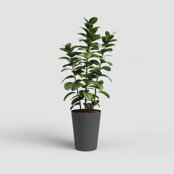 Vaso Porto Alto Antracite 80 CM ARTEVASI