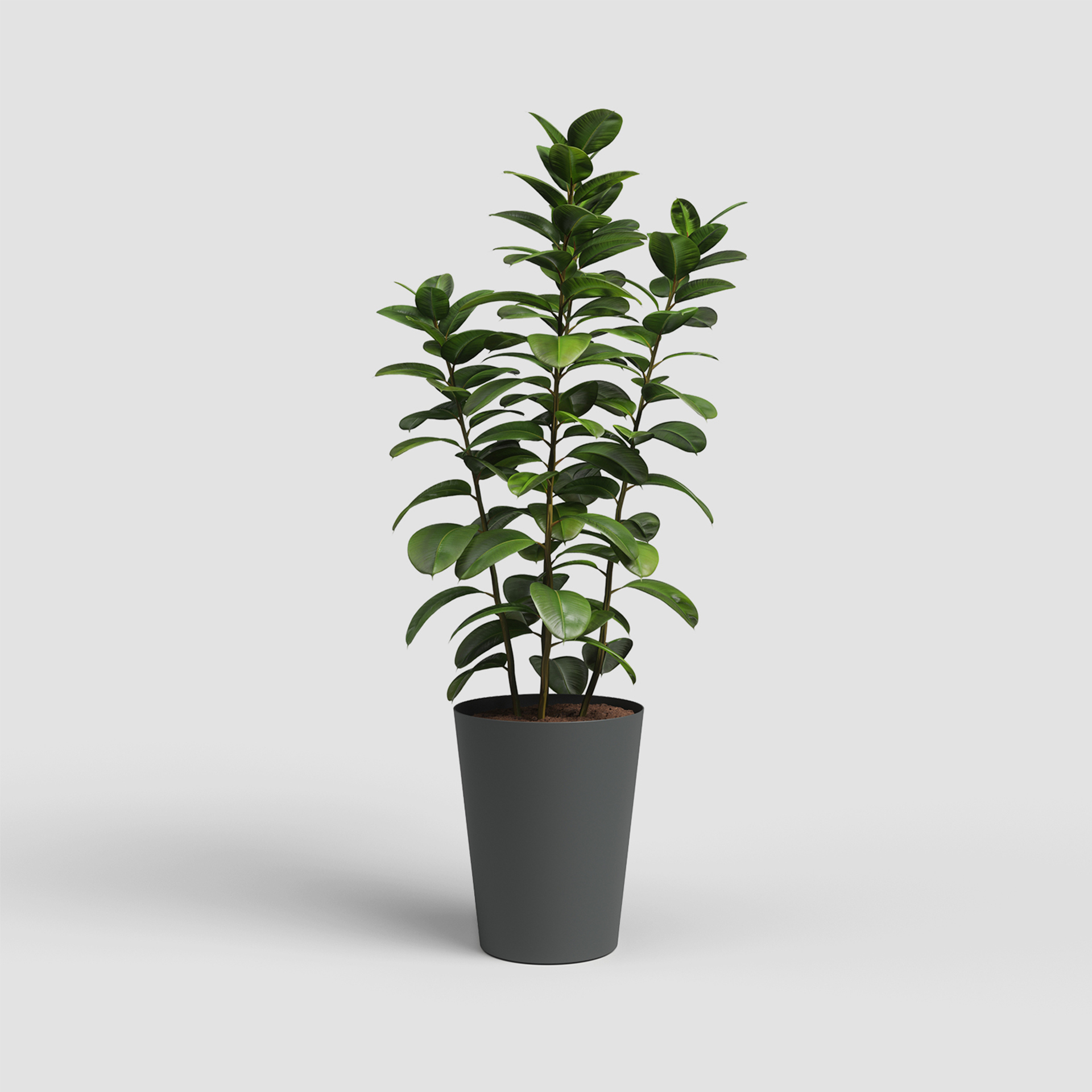 Vaso Porto Alto Antracite 50 CM ARTEVASI