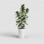 Vaso Porto Alto Branco 50 CM ARTEVASI