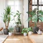 Vaso San Remo Mate Antracite 20 CM ARTEVASI