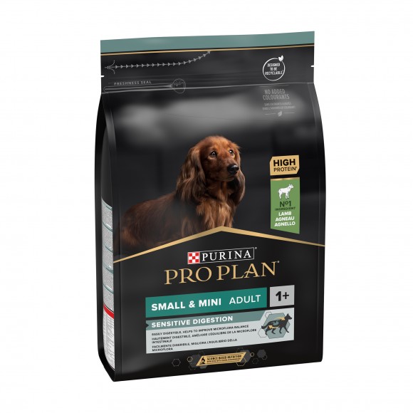 ALIMENTO SECO PARA CO MINI BORREGO 3 KG