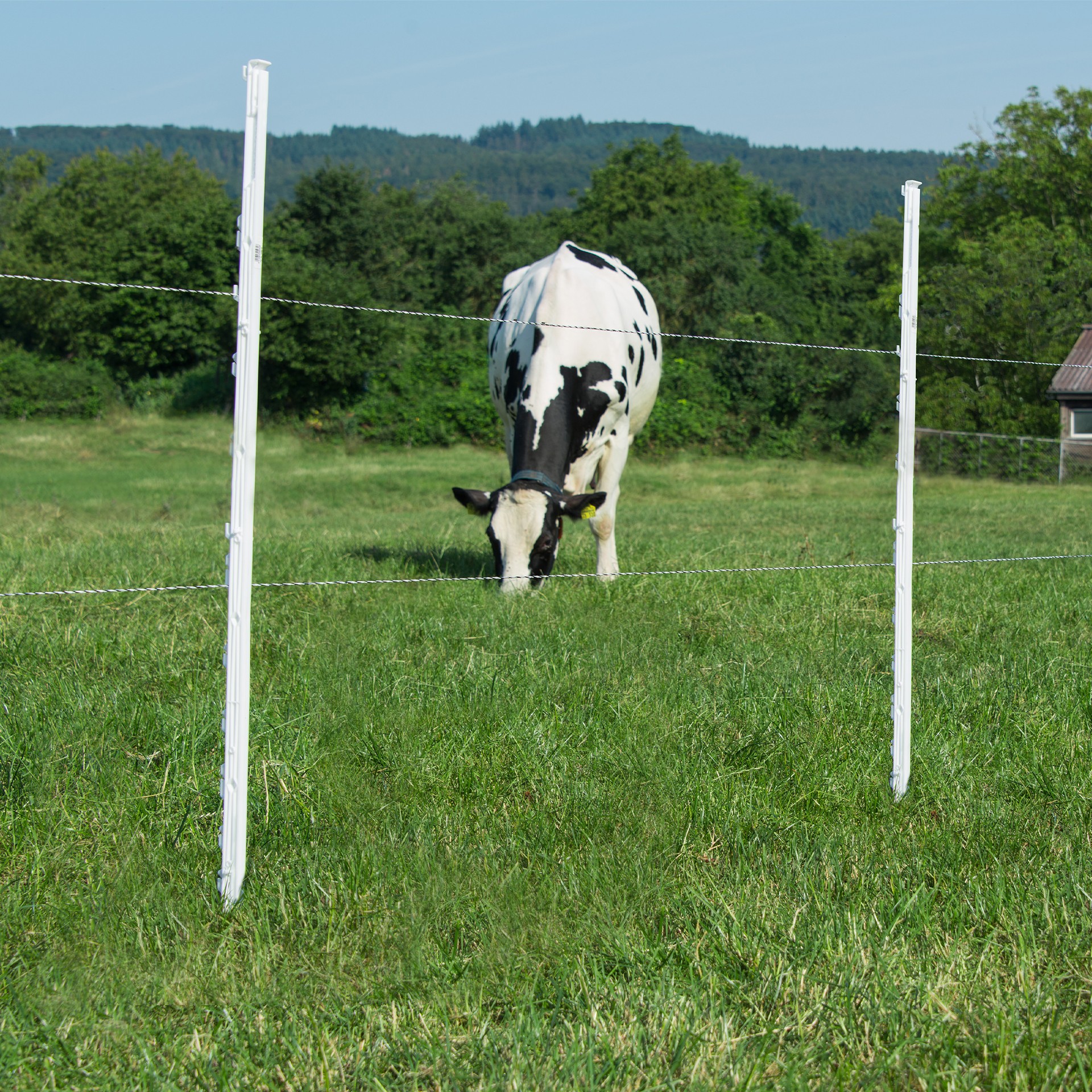 Poste Plástico Standard 3 Isolador 145 CM HORIZONT