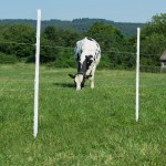 Poste Plstico Standard 3 Isolador 145 CM HORIZONT
