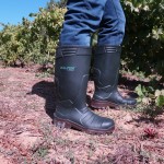 Galocha PU Alpha O4 Verde e Casanho N36 DIKAMAR