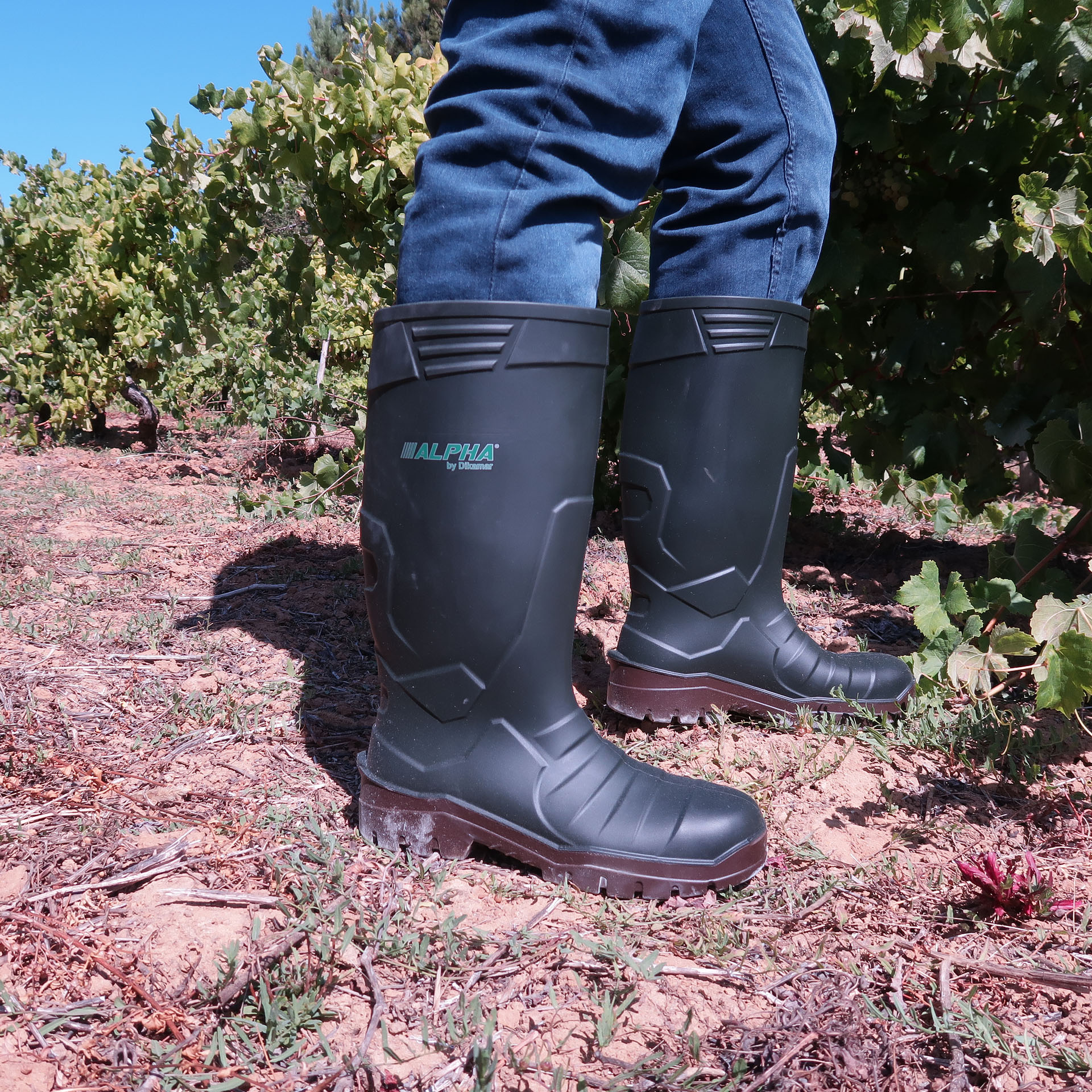 Galocha PU Alpha O4 Verde e Casanho N36 DIKAMAR