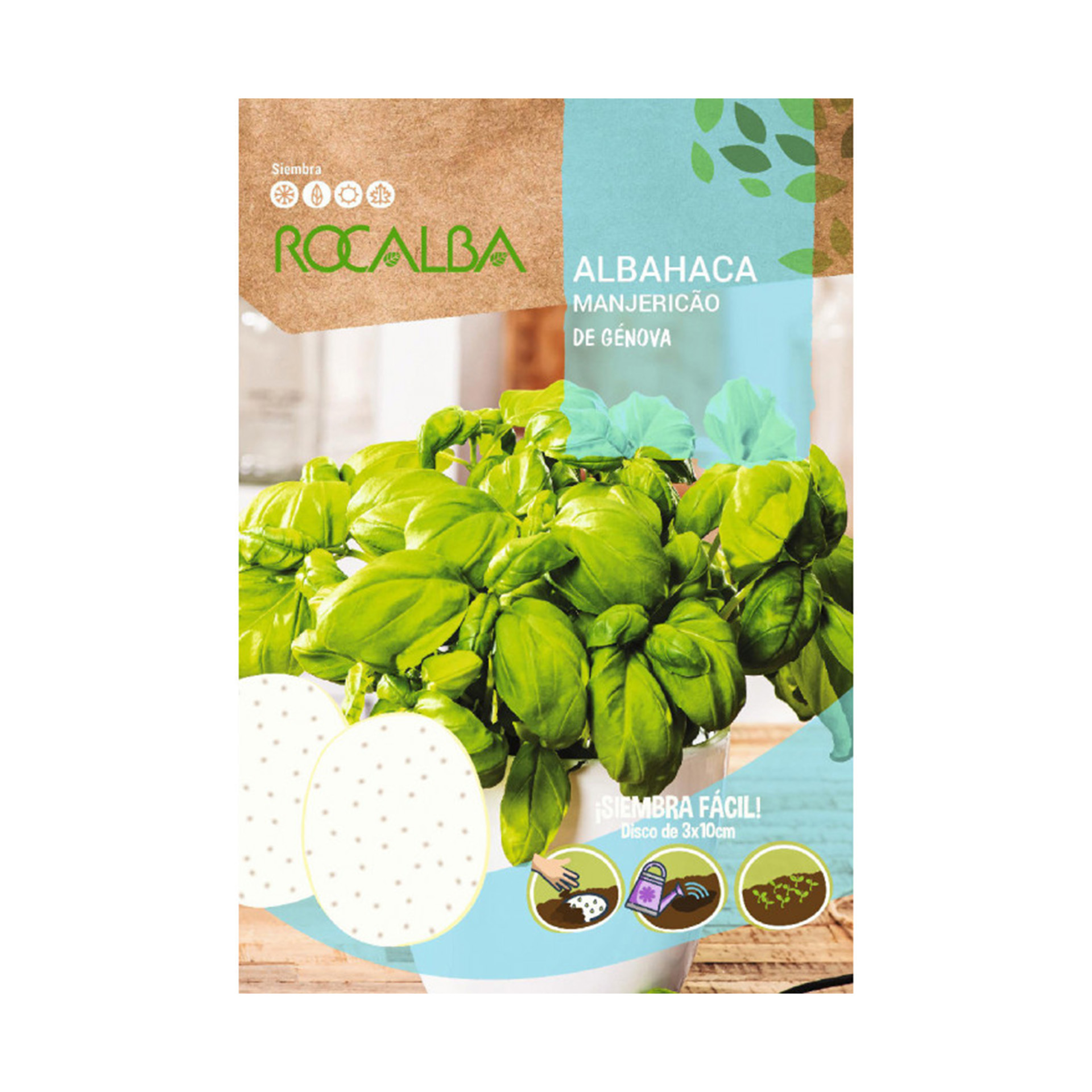 Manjericão Genova Disco ROCALBA