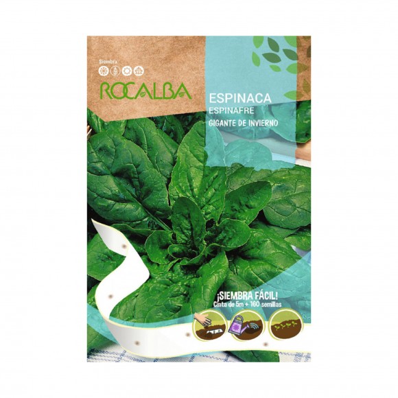 Espinafre Gigante Inverno Fita ROCALBA Espinafre Gigante Inverno Fita ROCALBA