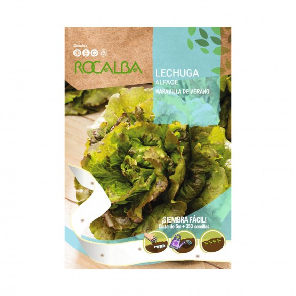 Alface Maravilha Verão Fita ROCALBA Alface Maravilha Verão Fita ROCALBA