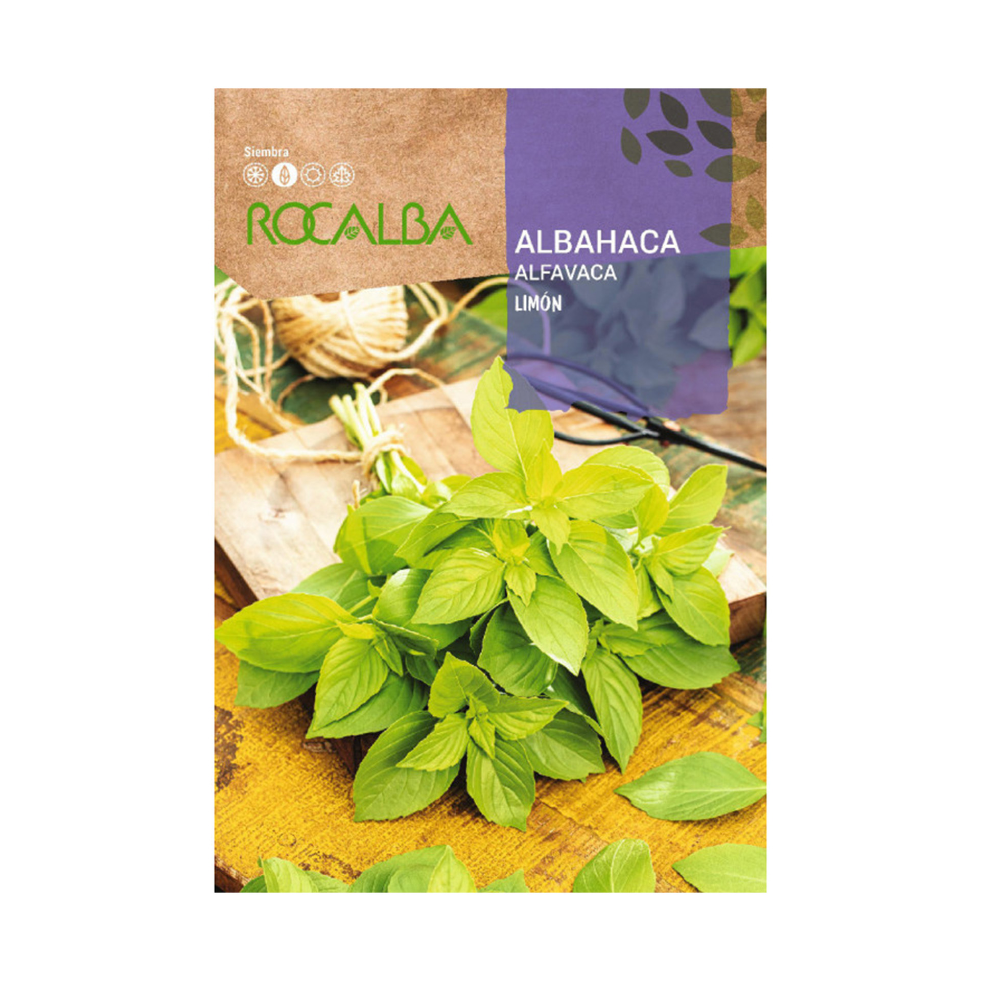 Mangericão Limão 2 G ROCALBA