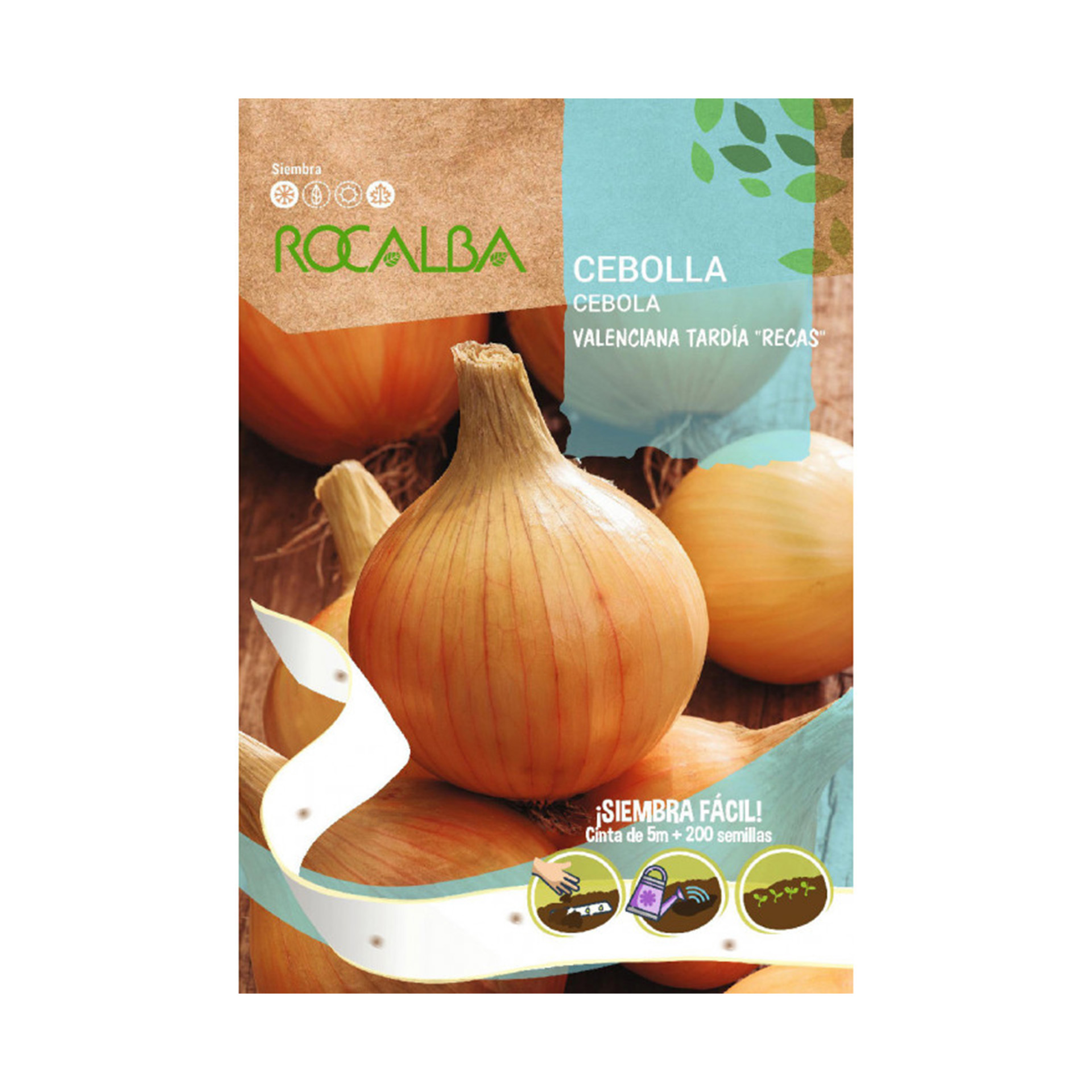 Cebola Valenciaba Tardia Fita ROCALBA