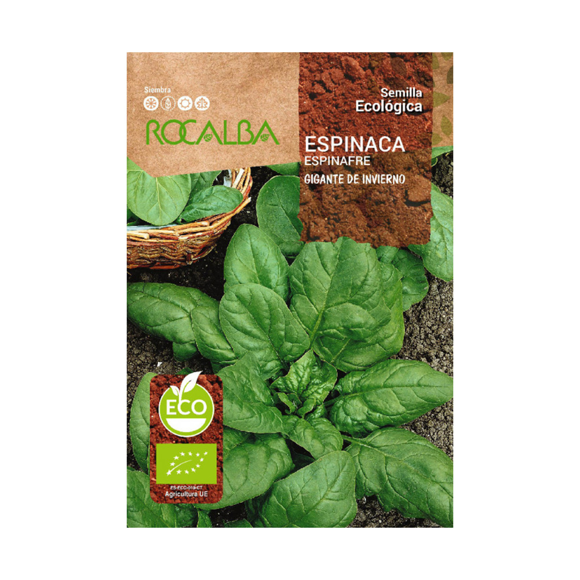 Espinafre Gigante Inverno Bio 8 G ROCALBA