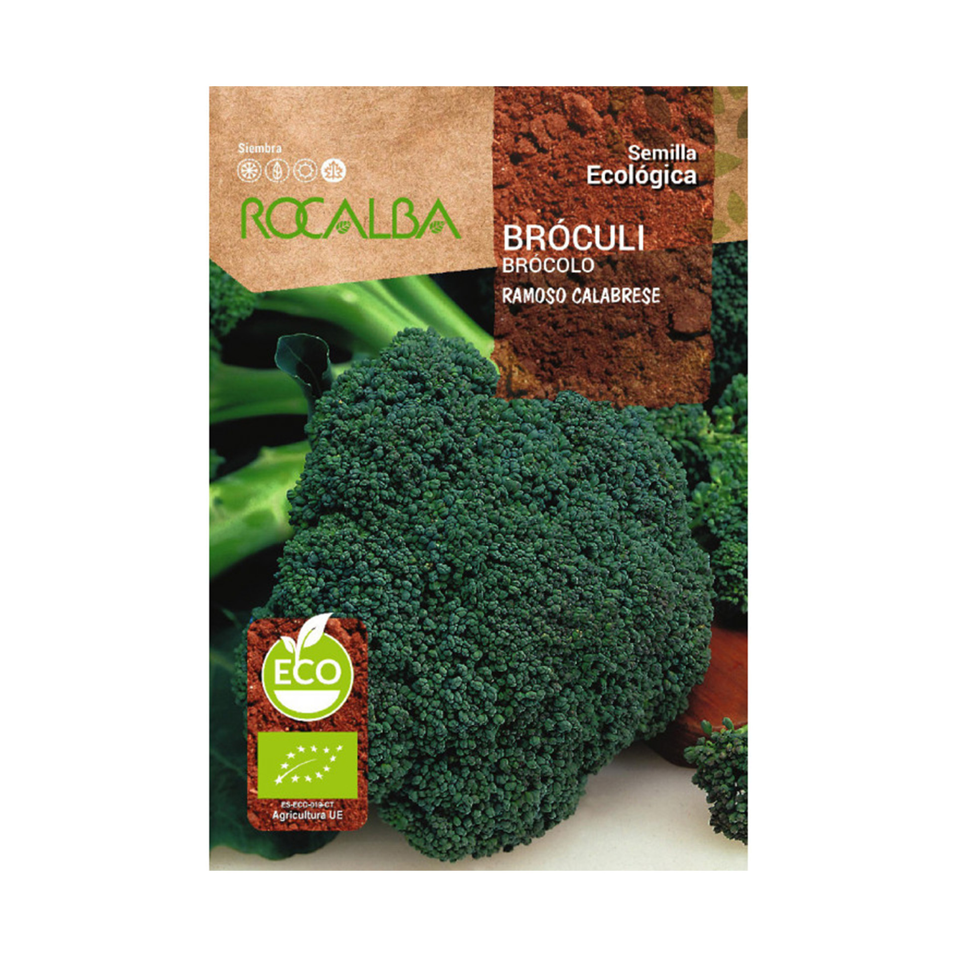 Broculo Verde Calabresse Bio 4 G ROCALBA