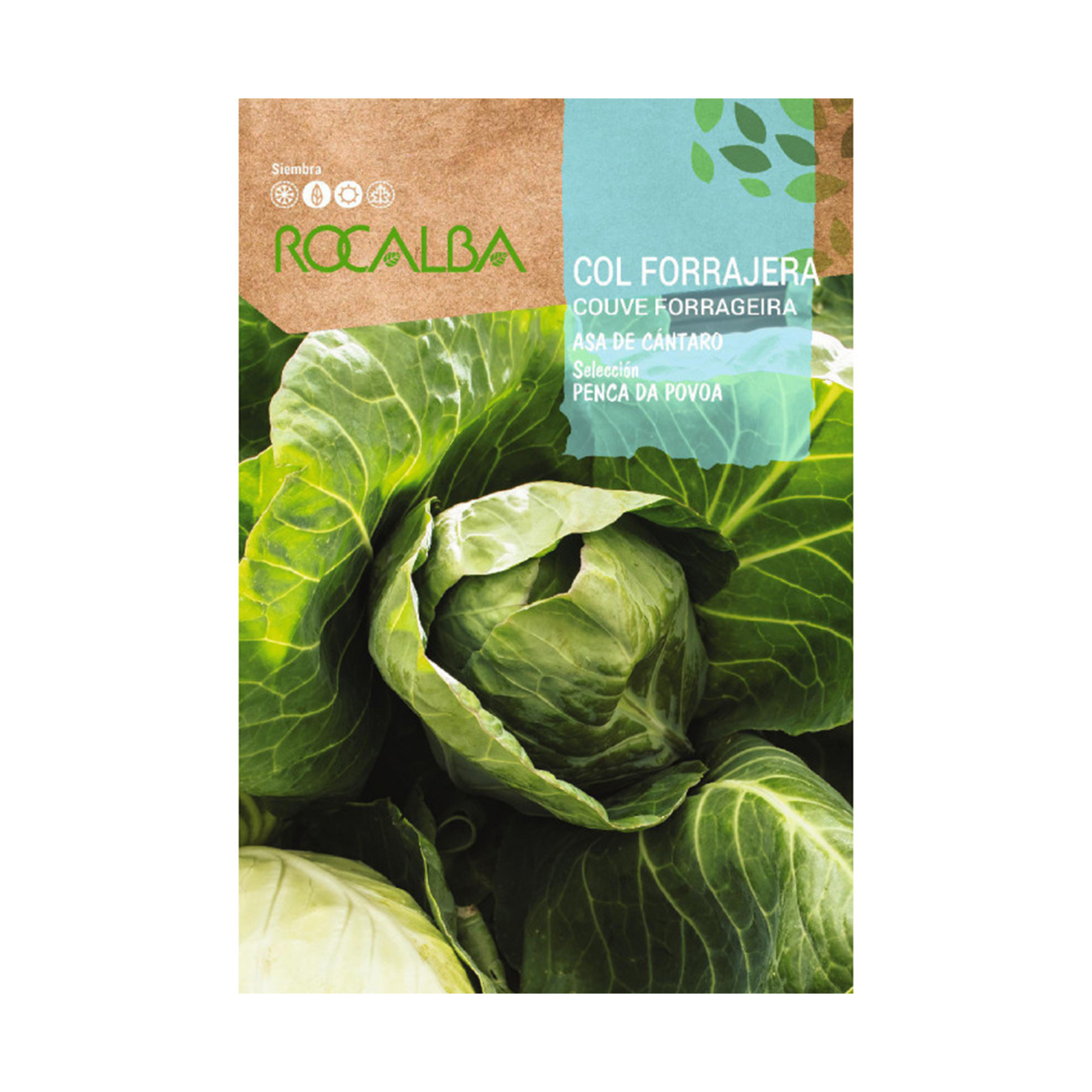 Couve Penca Povoa 25 G ROCALBA