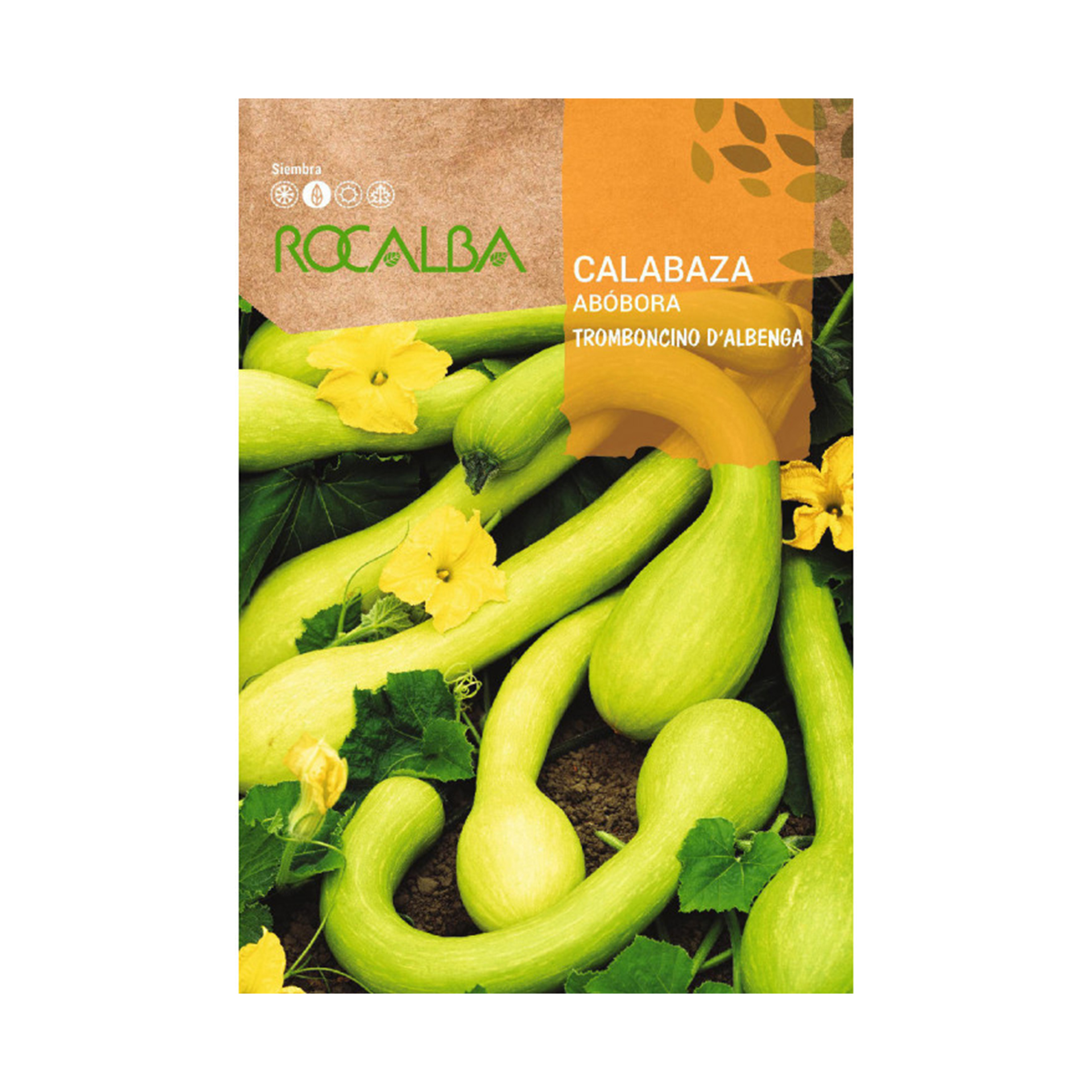 Abóbora Tromboncino Dalbenga 5 G ROCALBA