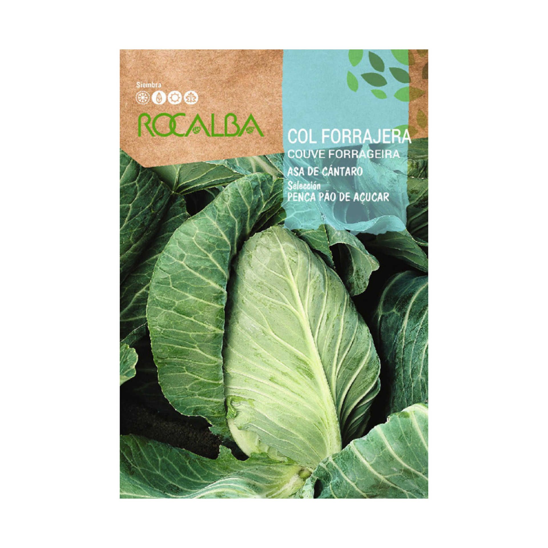 Couve Penca Pão Açucar 10 G ROCALBA