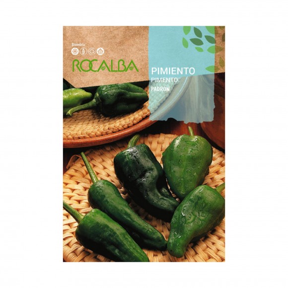 PIMENTO PADRON 1 G