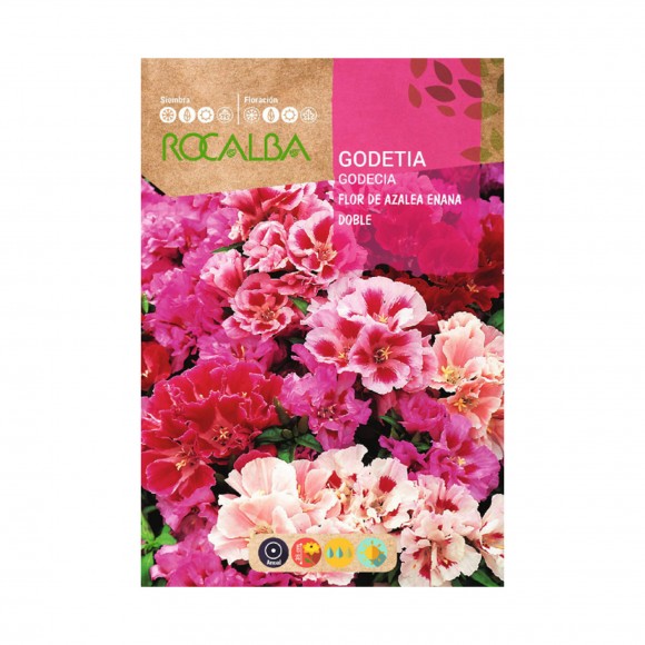 GODECIA FLOR AZALEA AN 3 G