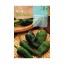 PIMENTO PADRON 1 G