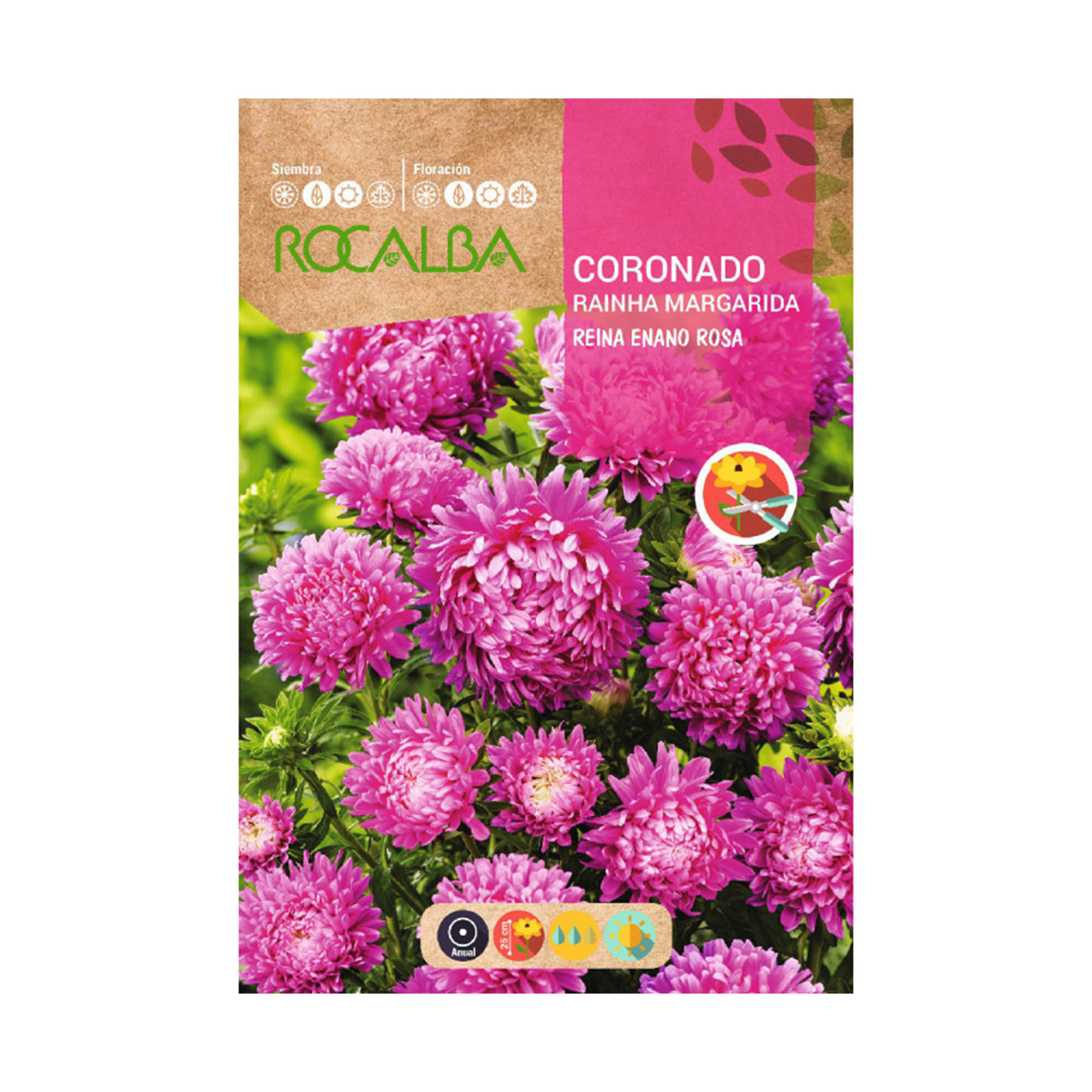 Coronado Rainha Verão Rosa 2 G ROCALBA