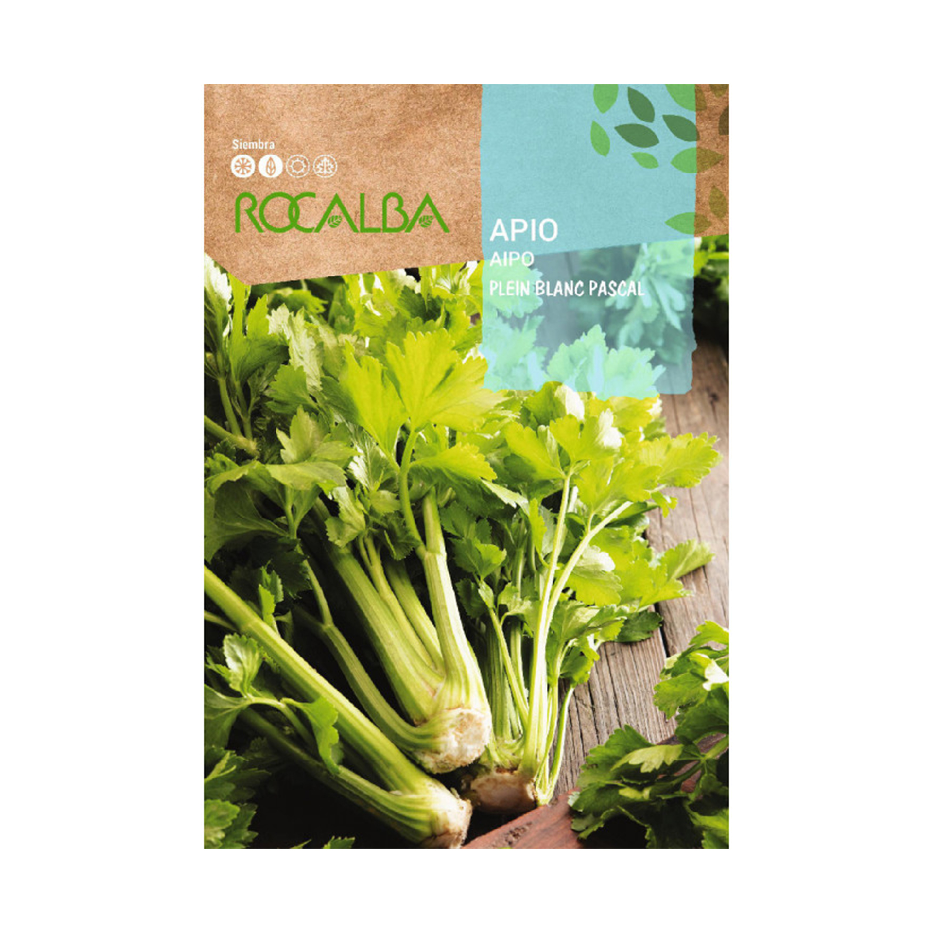 Aipo Verde Pascal 3 G ROCALBA