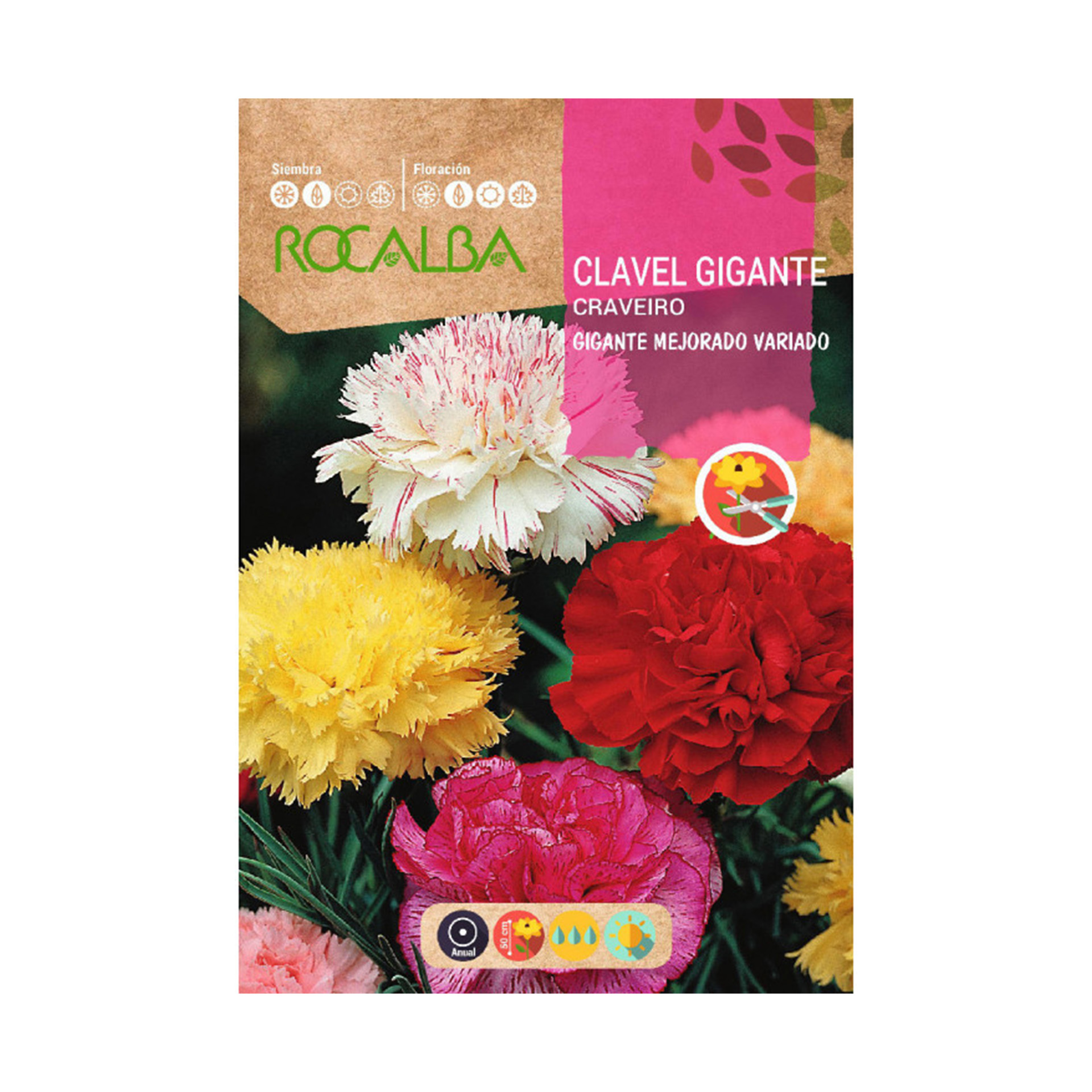 Cravo Gigante Melhorado Variado 1 G ROCALBA