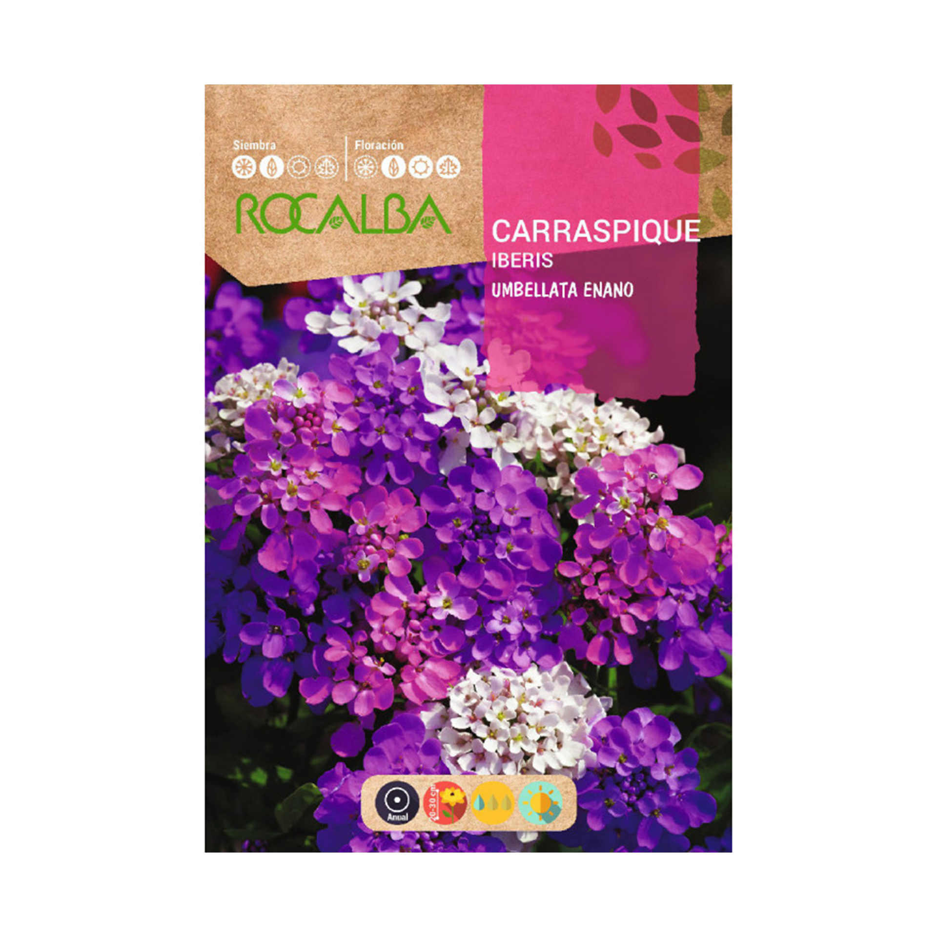 Carraspique Umbellata Anão 8 G ROCALBA