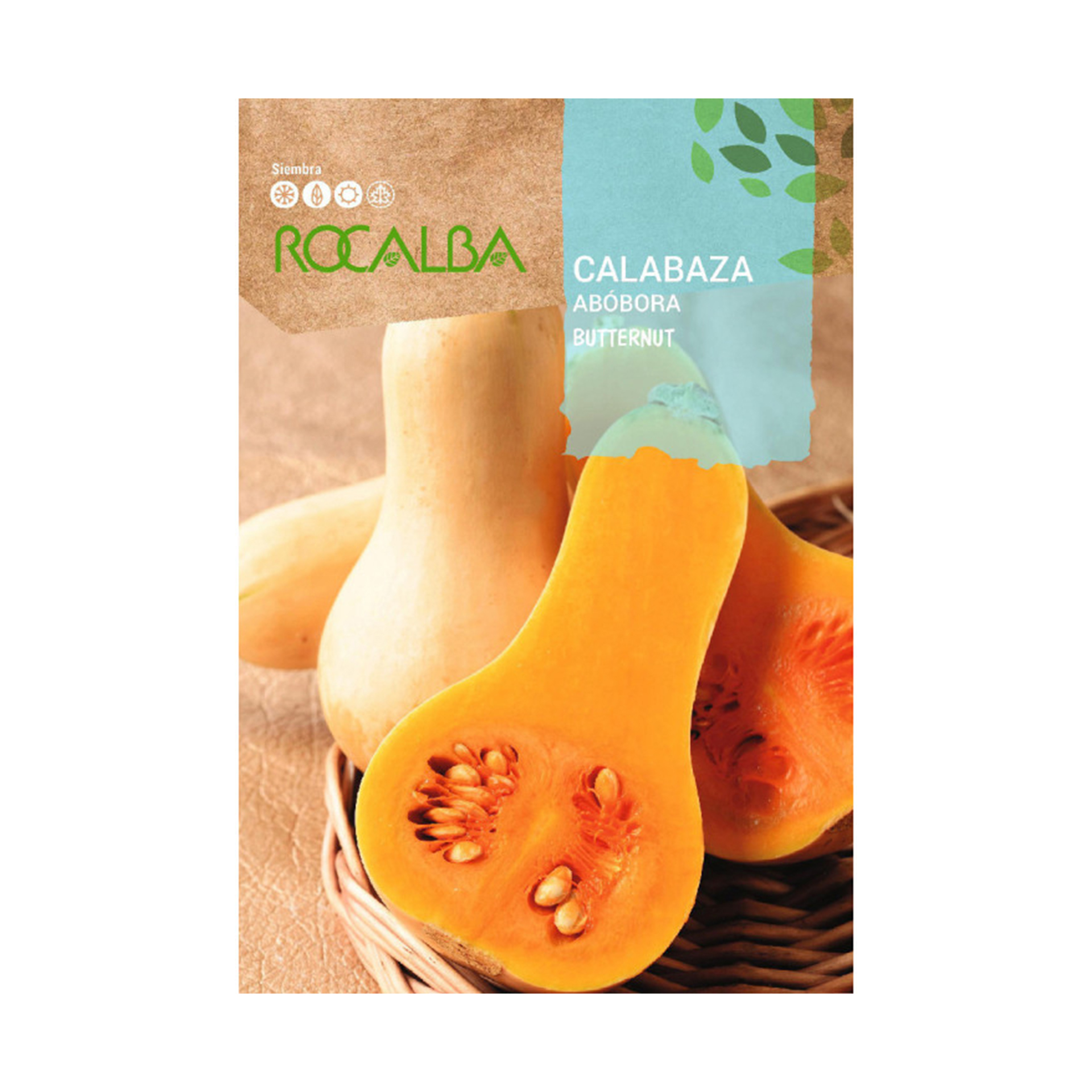 Abóbora Butternut 3 G ROCALBA