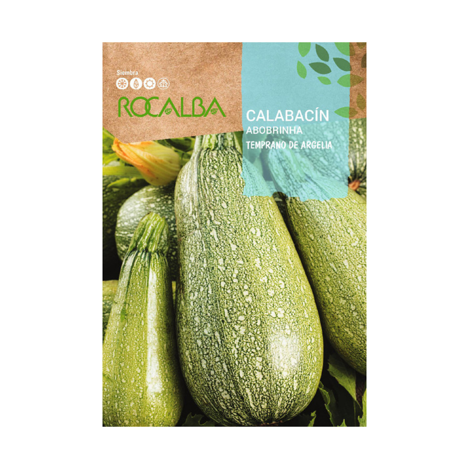 Courgette Tempora Argelia 8 G ROCALBA