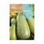 COURGETTE TEMPORA ARGELIA 8 G