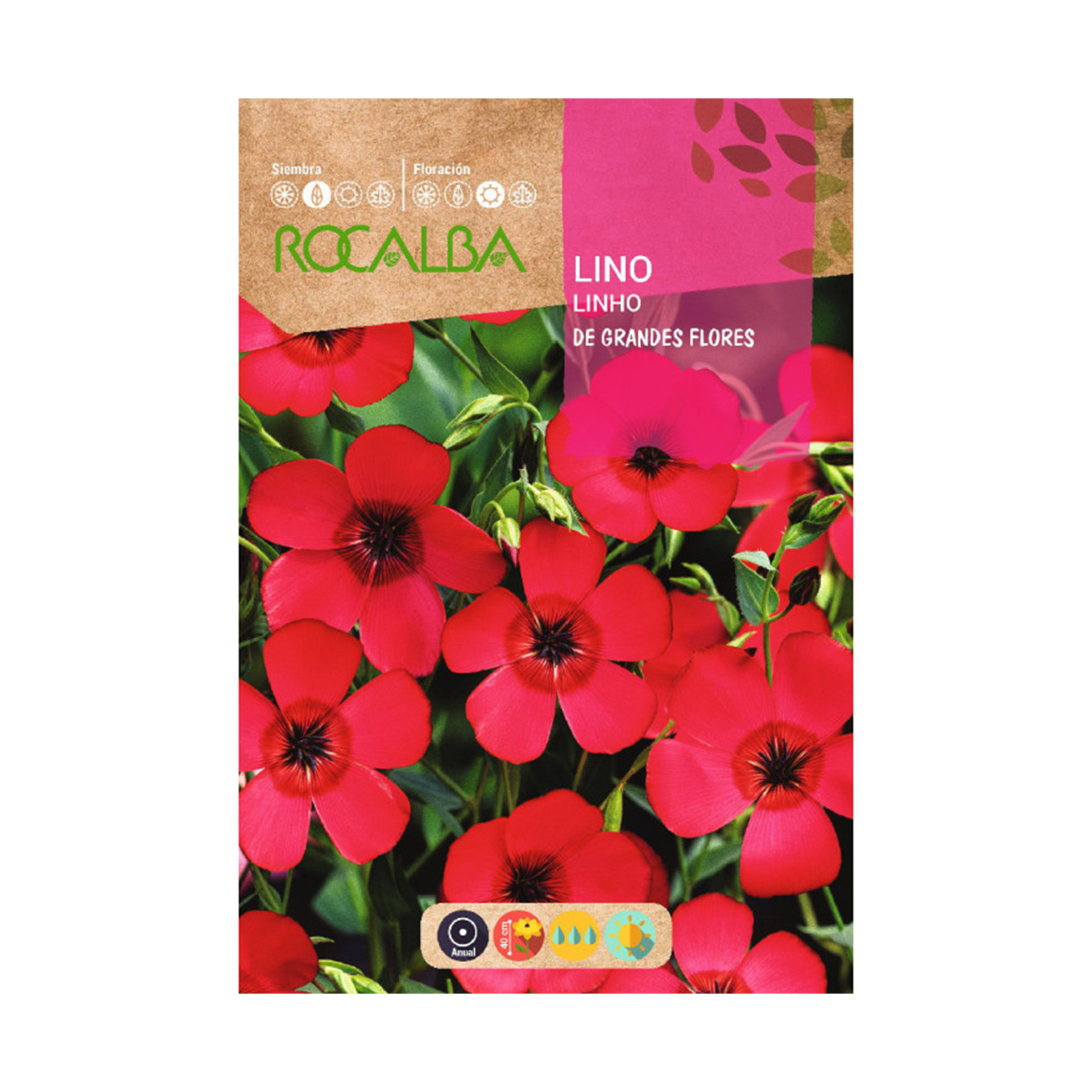 Lino De Grande Flores 6 G ROCALBA