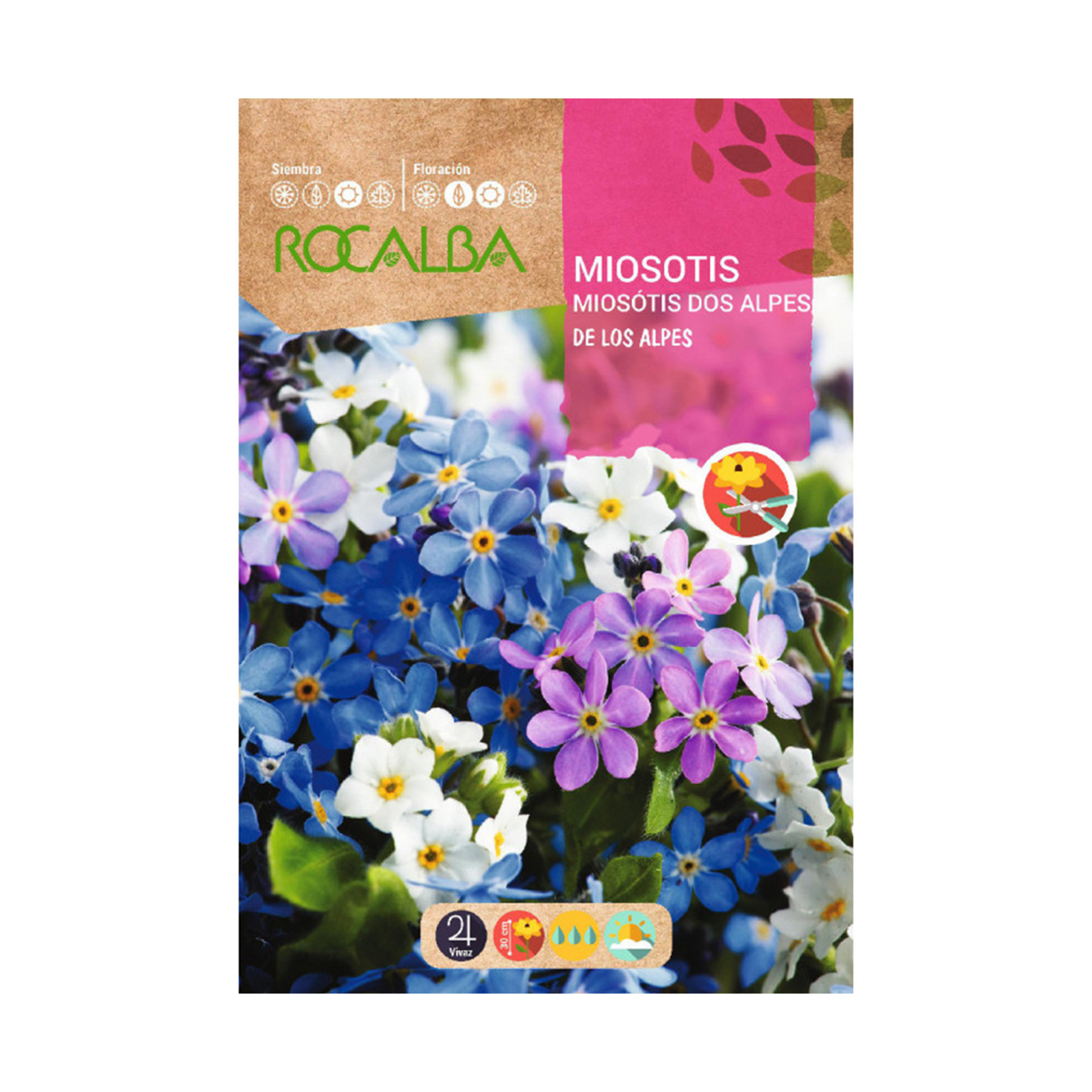 Miosotis Dos Alpes 1 G ROCALBA