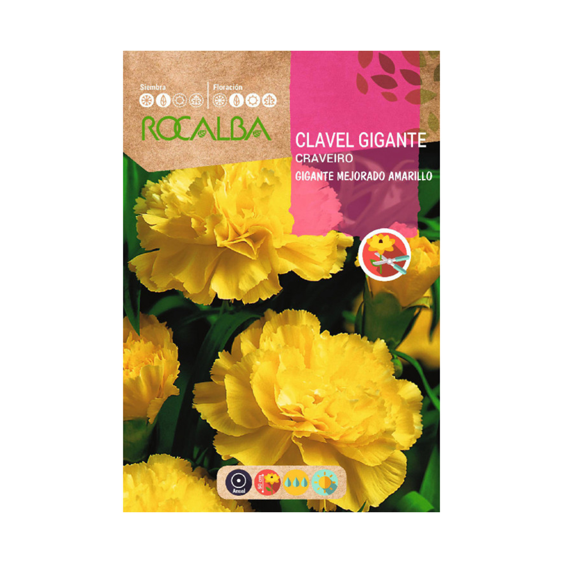 Cravo Gigante Amarelo 1 G ROCALBA