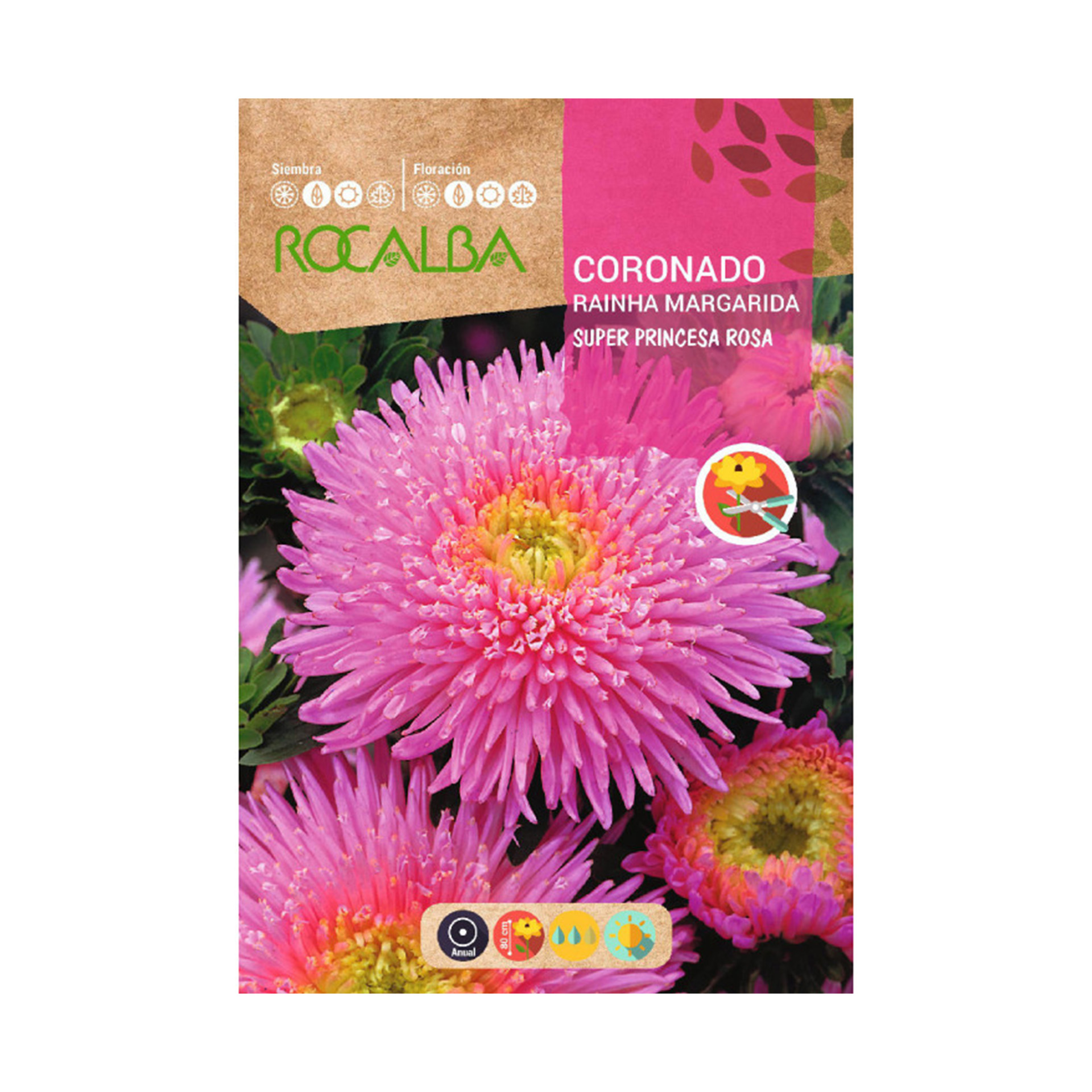 Coronado Super Princesa Rosa2 G ROCALBA