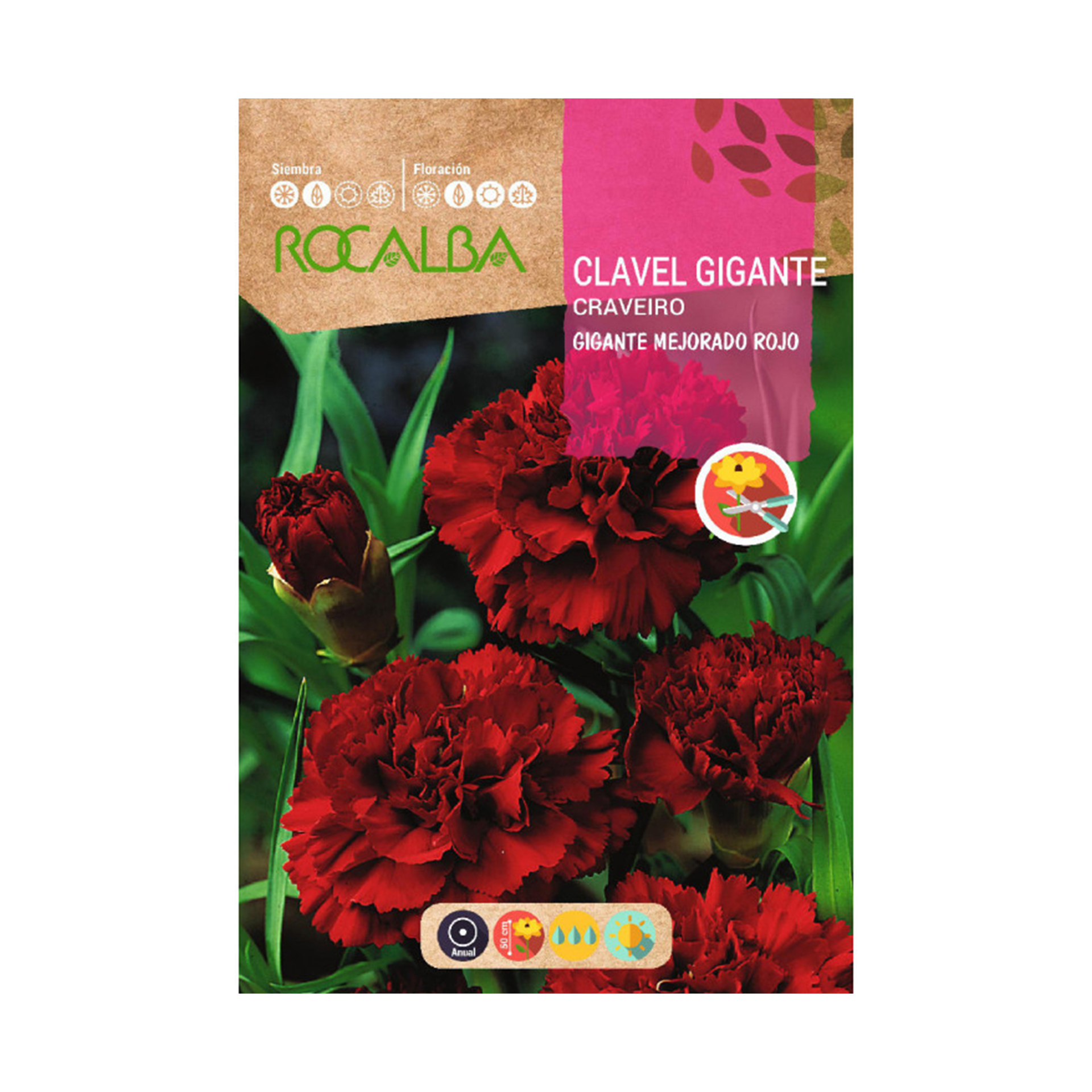 Cravo Gigante Vermelho 1 G ROCALBA