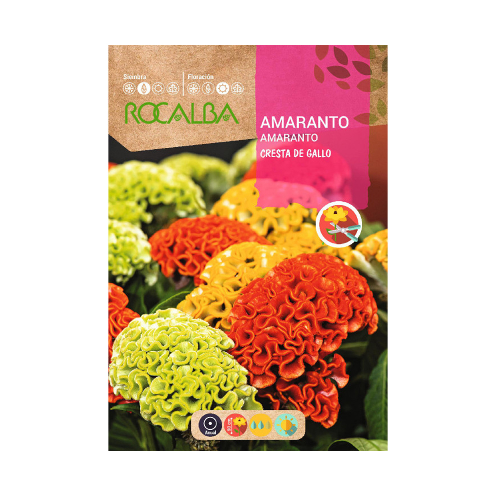 Amaranto Crista De Galo 2 G ROCALBA