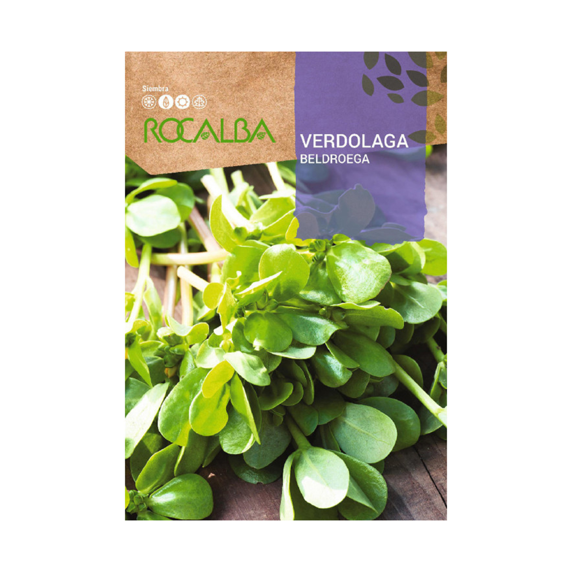 Beldroega/Verdolaga 4 G ROCALBA